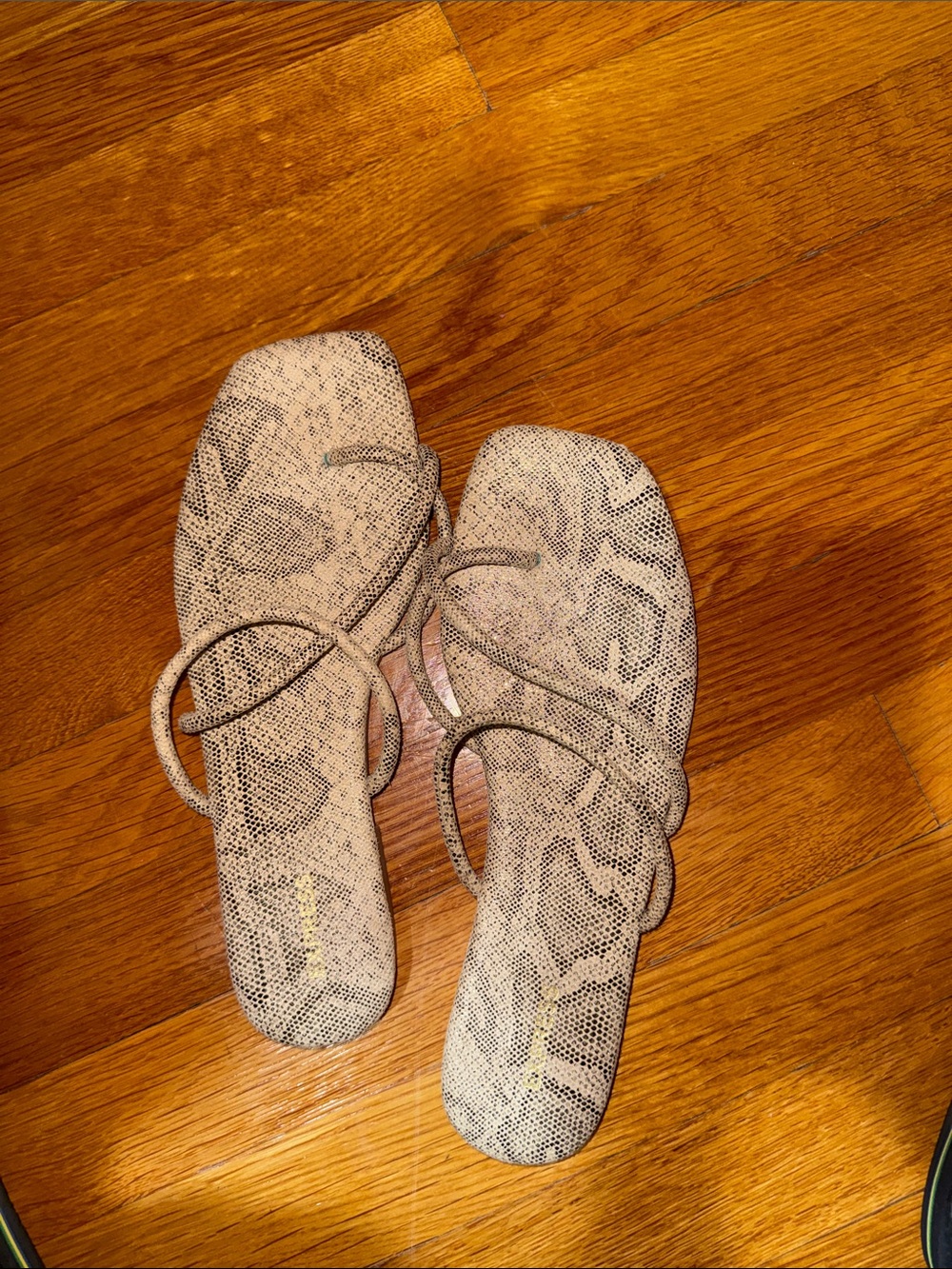 Express Neutral Snake-Print Woven Square-Toe Slide Mules